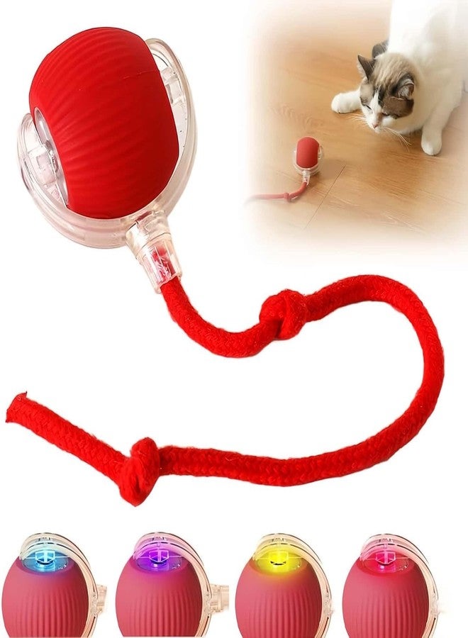 LARYNX Interactive Cat Toys Rolling Ball, Interactive Dog Ball Toy with USB Rechargeable, stimulating Dogs Toy - Image 1